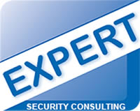 Howard-levinson-Expert-Security-Consulting.jpg