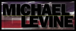 Michael-Levine-Logo.jpg
