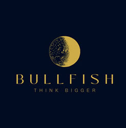 bullfish-think-bigger-logo.jpg