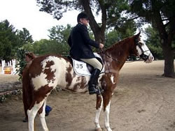 gregory-coulson-equine-accident-expert-photo.jpg