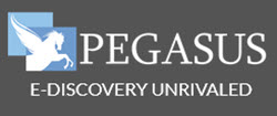 pegasus-squire-logo.jpg