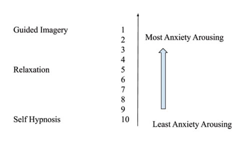 Panic Disorder Graph 1