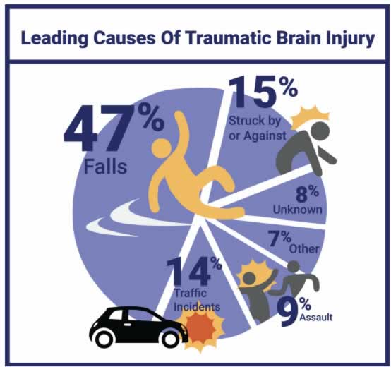 leading causes TBI chart photo