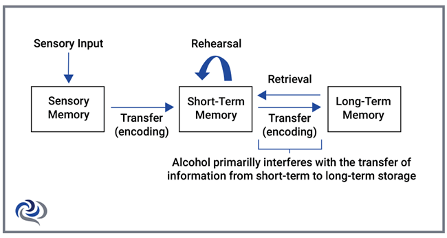 human memory functioning chart image