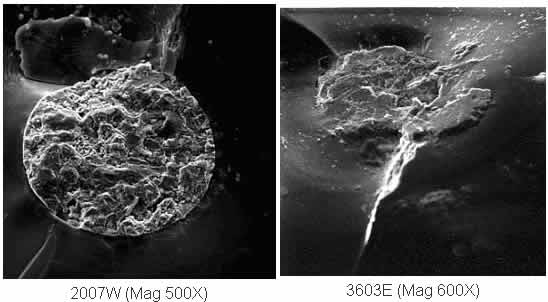 Figure #4: Scanning Electron Microscope