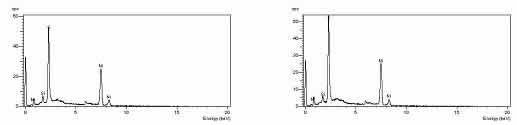 Figure #5: Energy Dispersive Spectroscopy