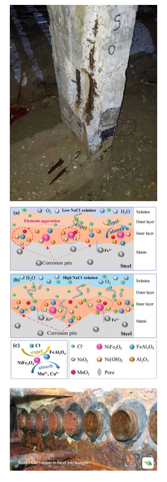 Chloride attacks Figure 14 image