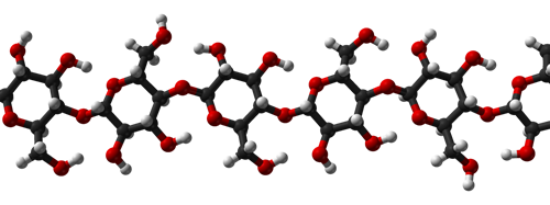 Cellulose Molecules