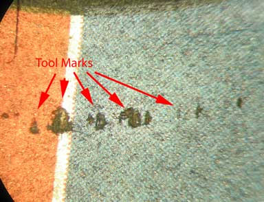 figure 6 low power photo micrograph