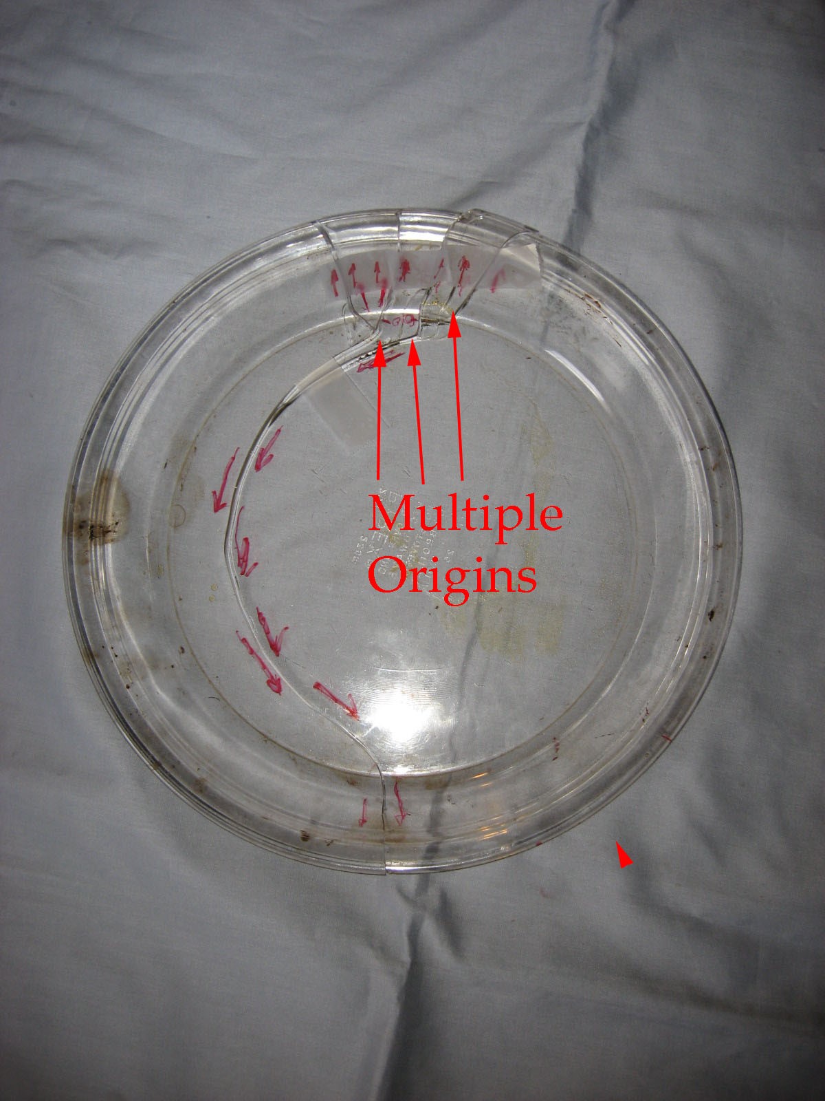 figure1 pyrex dish photo