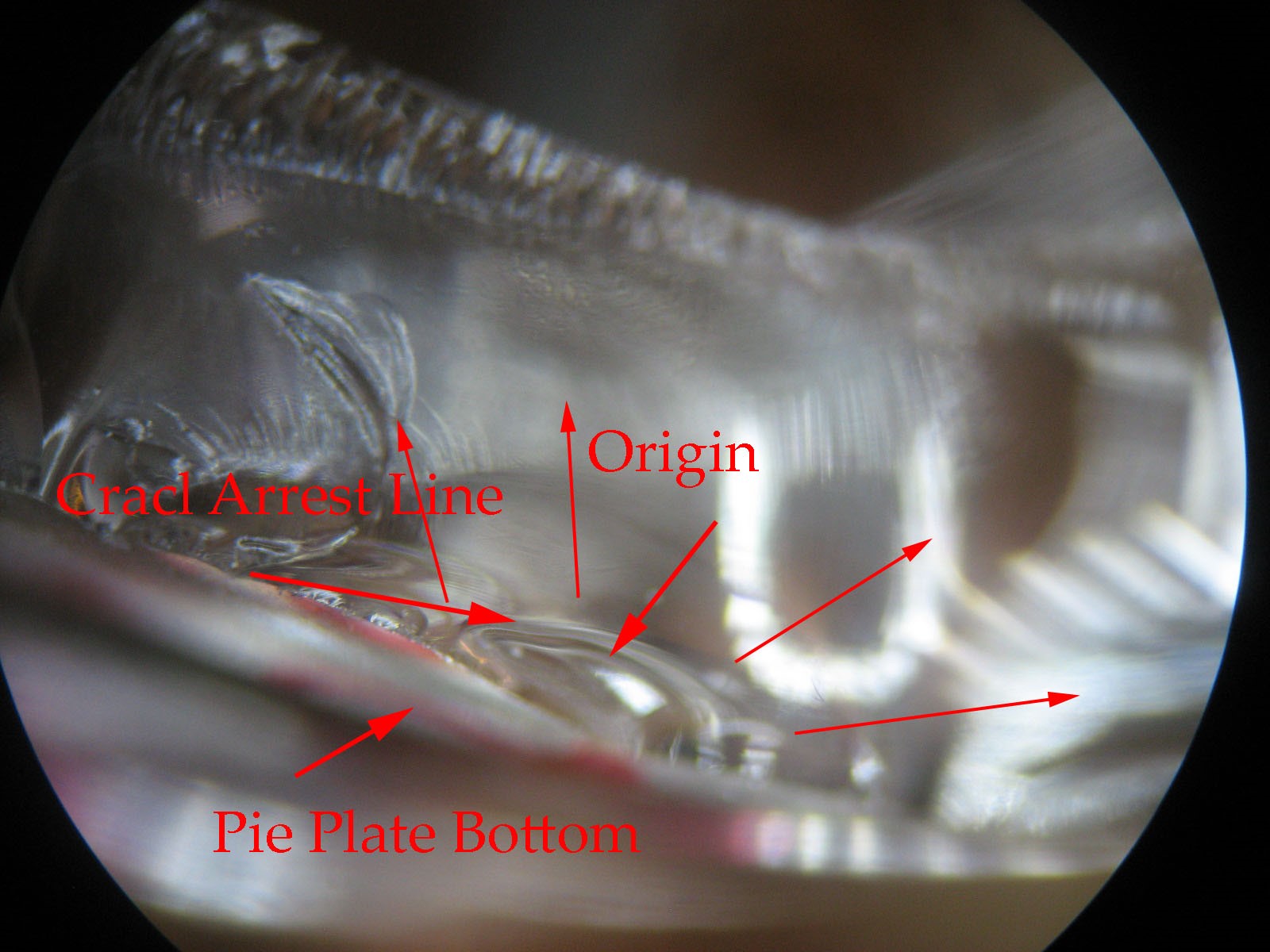 figure3 pyrex dish multiple cracks photo