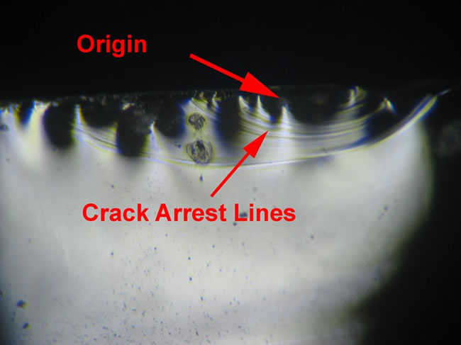 figure3 high power photomicrograph photo