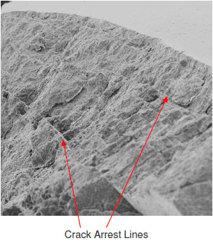 figure 2 sem photo