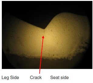 figure 5 photo micrograph